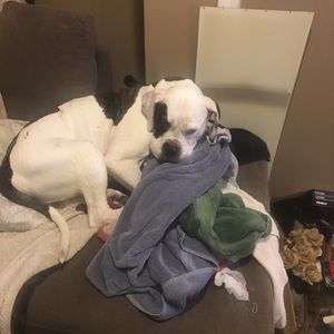 Meet your Posher, Ashley